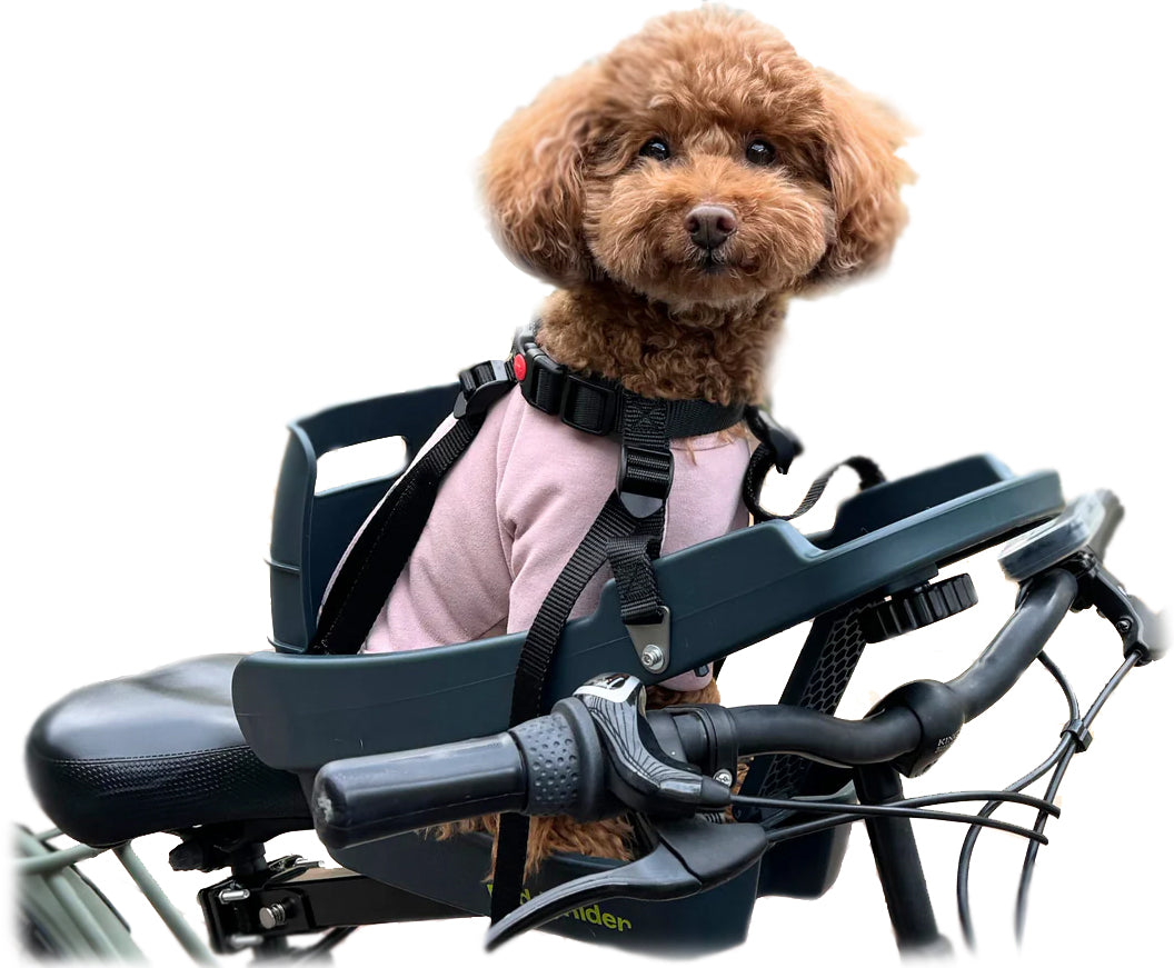 2025 Buddyrider® Series 2 Dog Bicycle Seat - No Grip