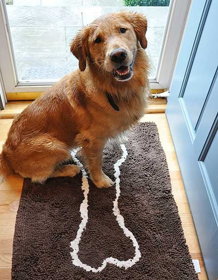 Doormat Dog Chenille Indoor Entrance Pet Door Mats Anti-Slip