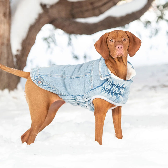 Discounted Customer Returns (Dog Jackets & Sweaters)