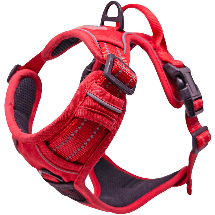 Venture Paw Mesh Lined Dog Harnesses