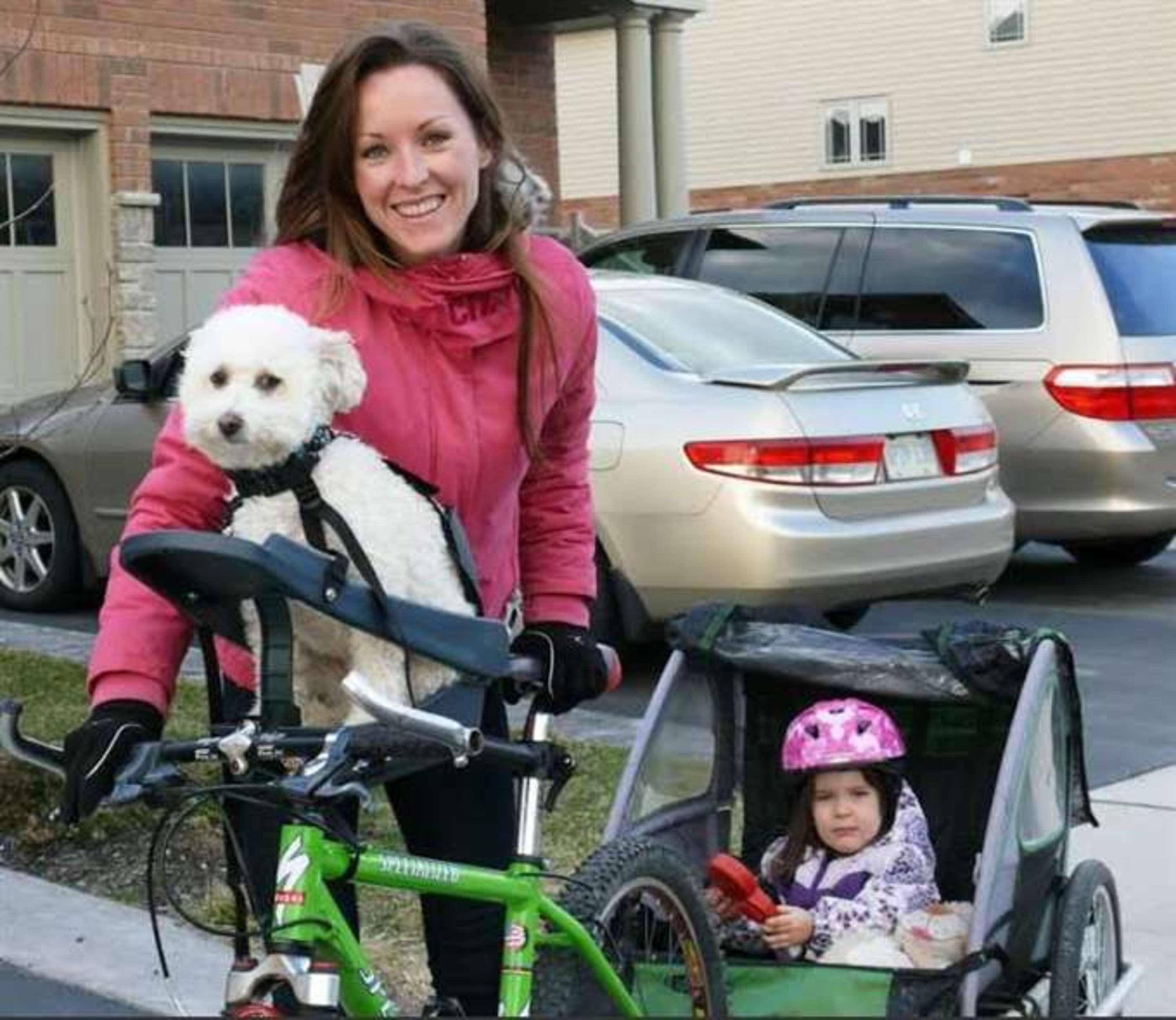 buddy dog bike seat