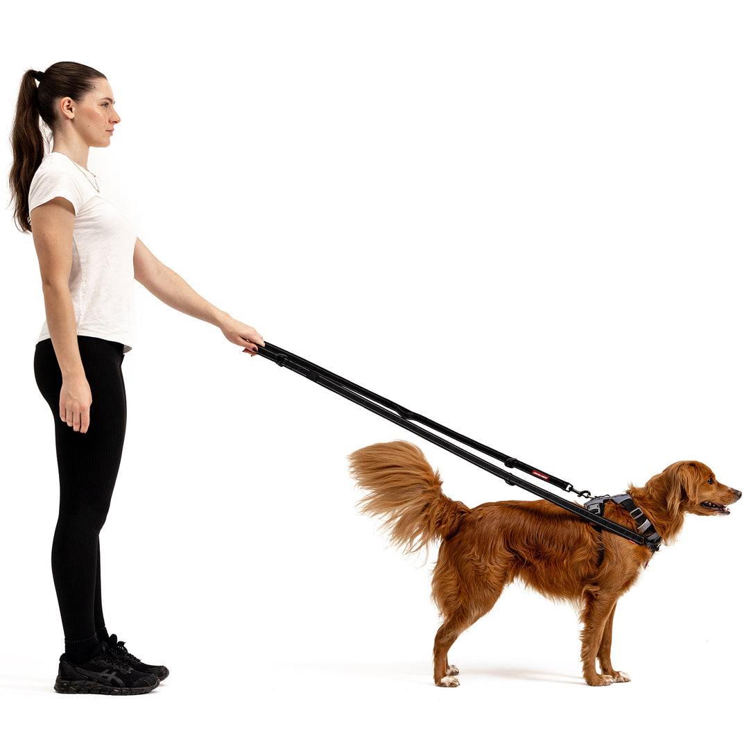 EzyDog Hands Free Dog Leash - 6 Functions In 1