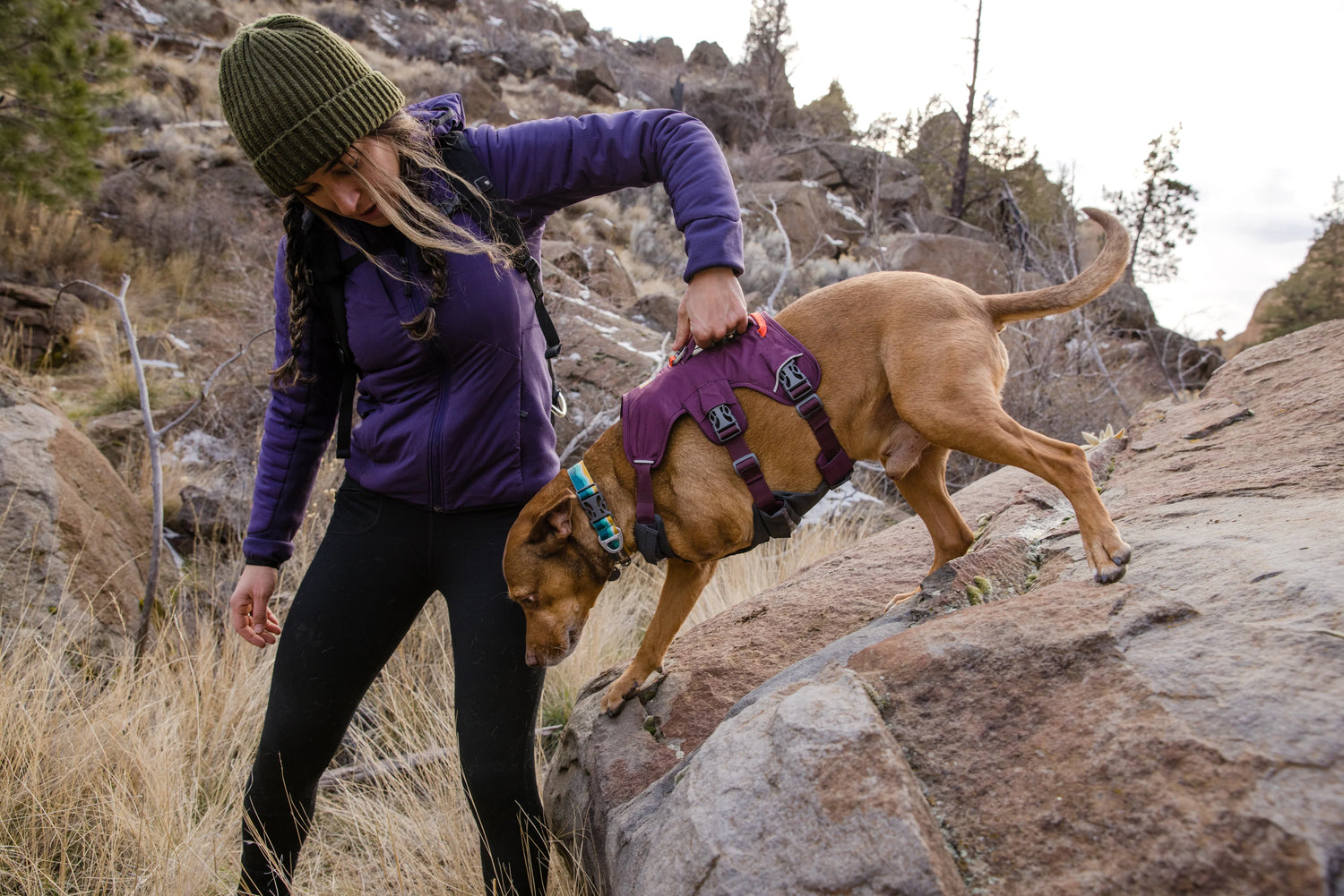 Different Types of Dog Leashes: How To Pick The Best Dog Training Leash?