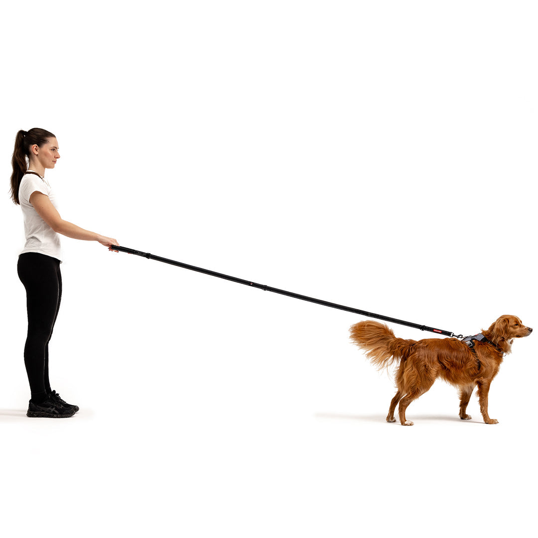 EzyDog Hands Free Dog Leash - 6 Functions In 1