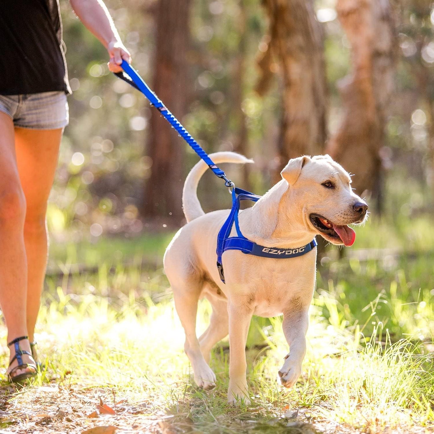 EzyDog Zero Shock Control Leash