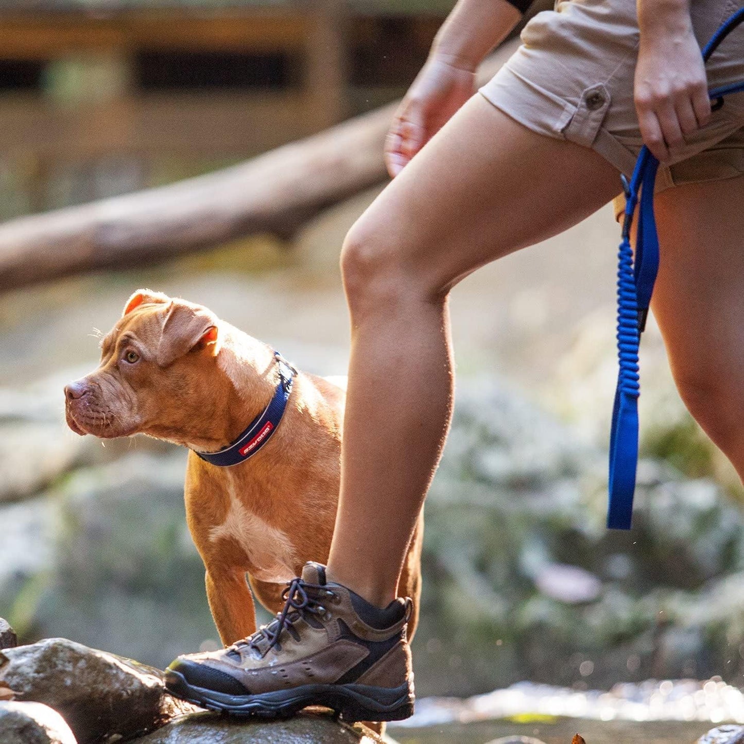 EzyDog Zero Shock Control Leash