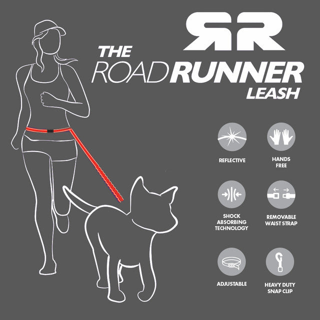 EzyDog Road Runner Hands Free Leash