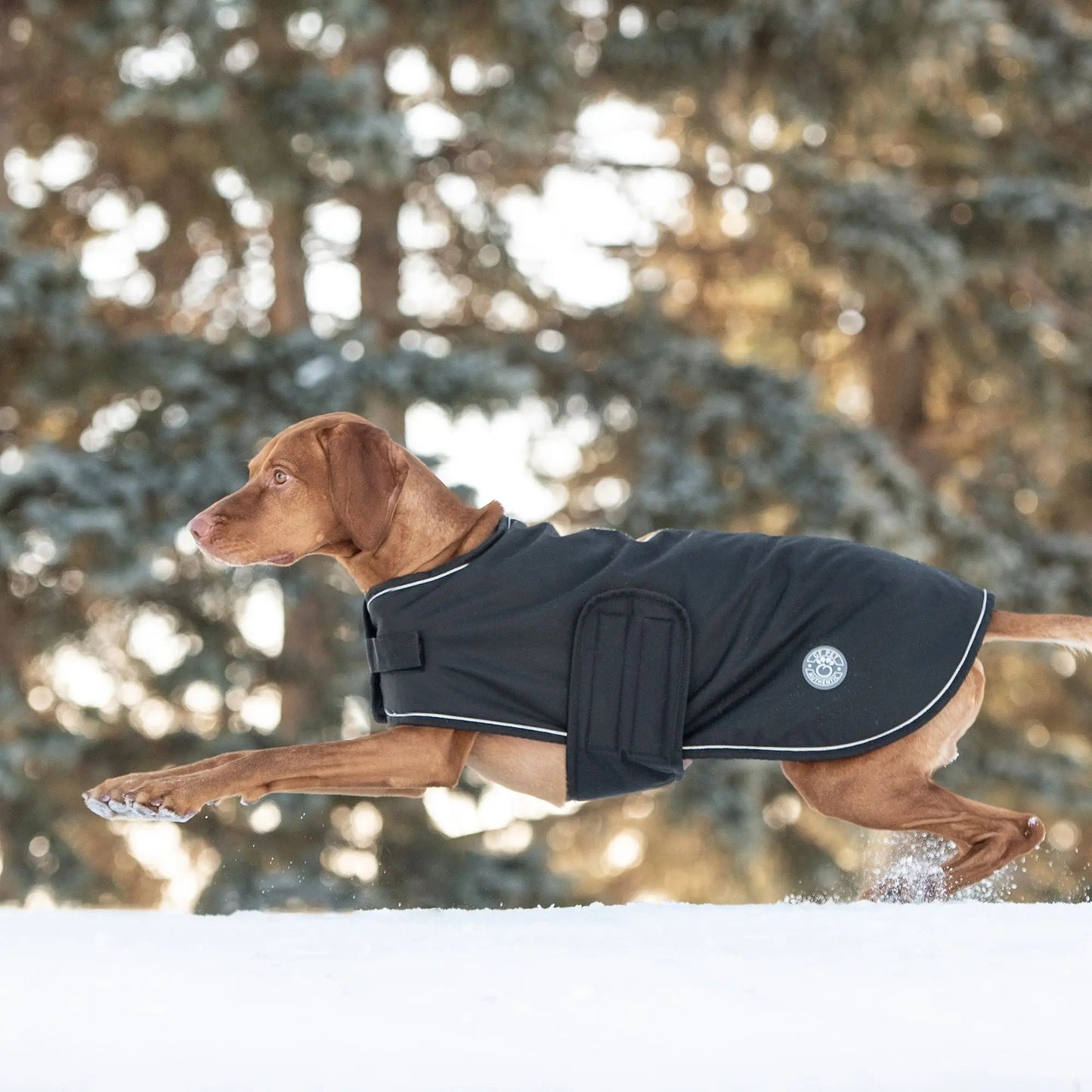 Dog Winter Blanket Jacket - Black Large (Customer Return)