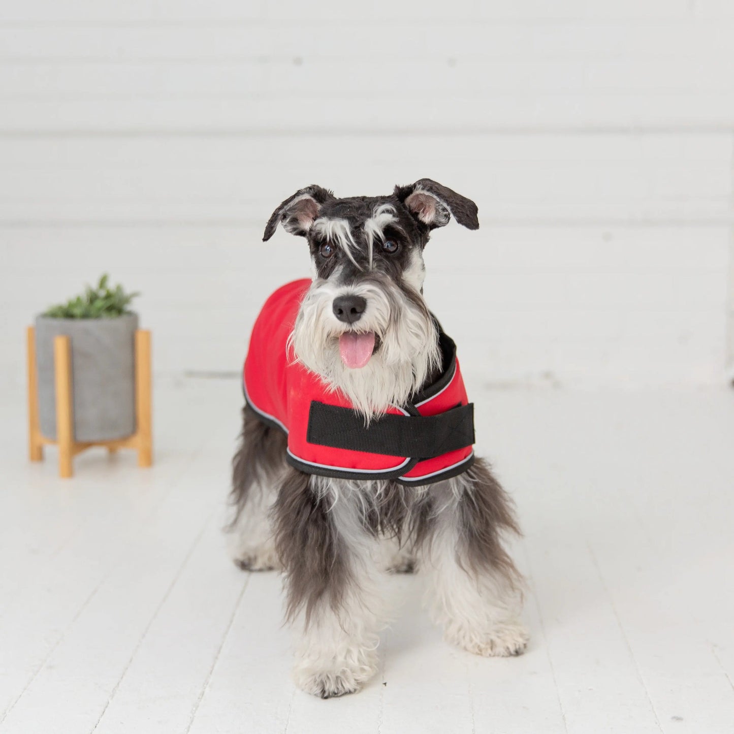 Blanket Jacket - Red