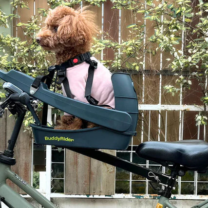 Buddyrider Series 2 Dog Bicycle Seat Dog Bike Seat For Dogs Up To 25 lbs. The Dog Outdoors