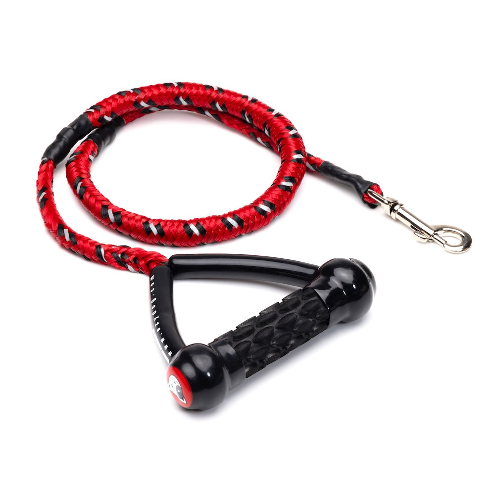 EzyDog Cujo Bungee Dog Leash