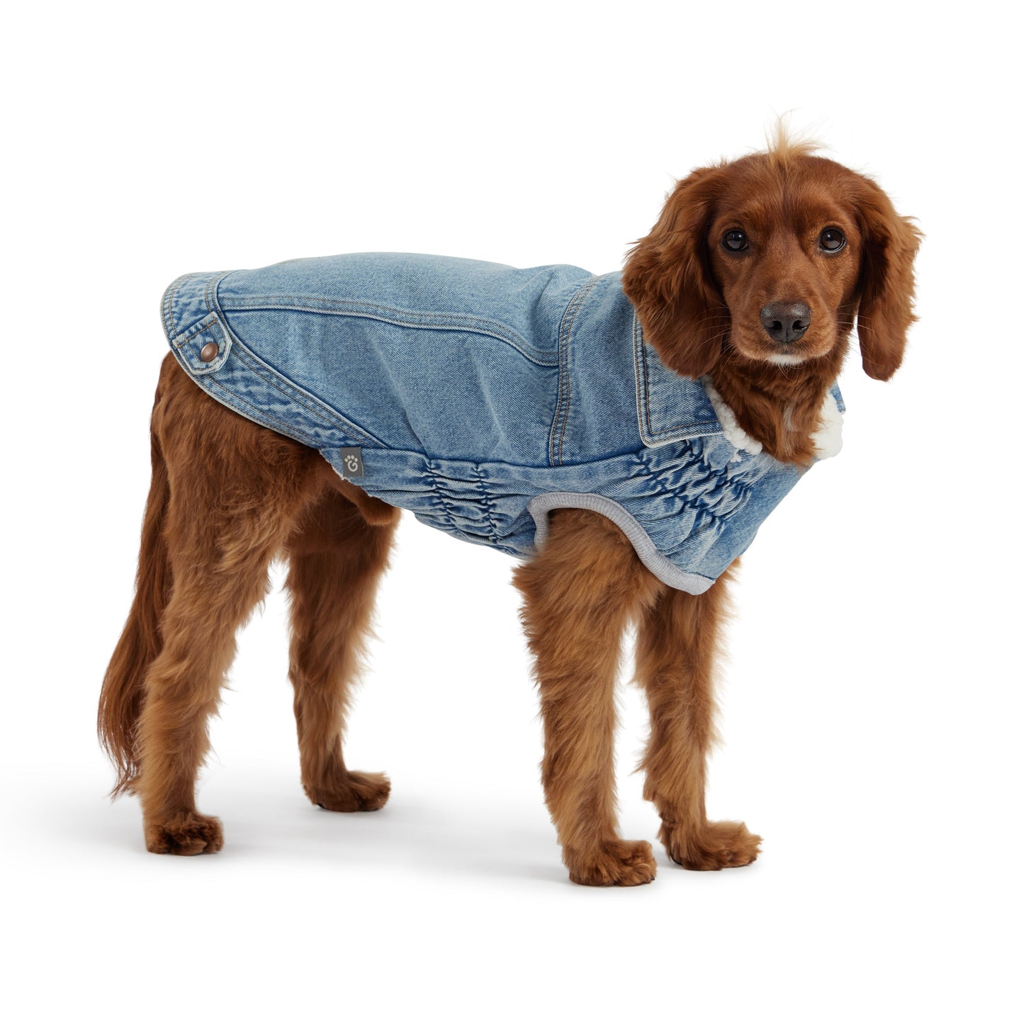 Denim Dog Winter Jacket - Light Wash