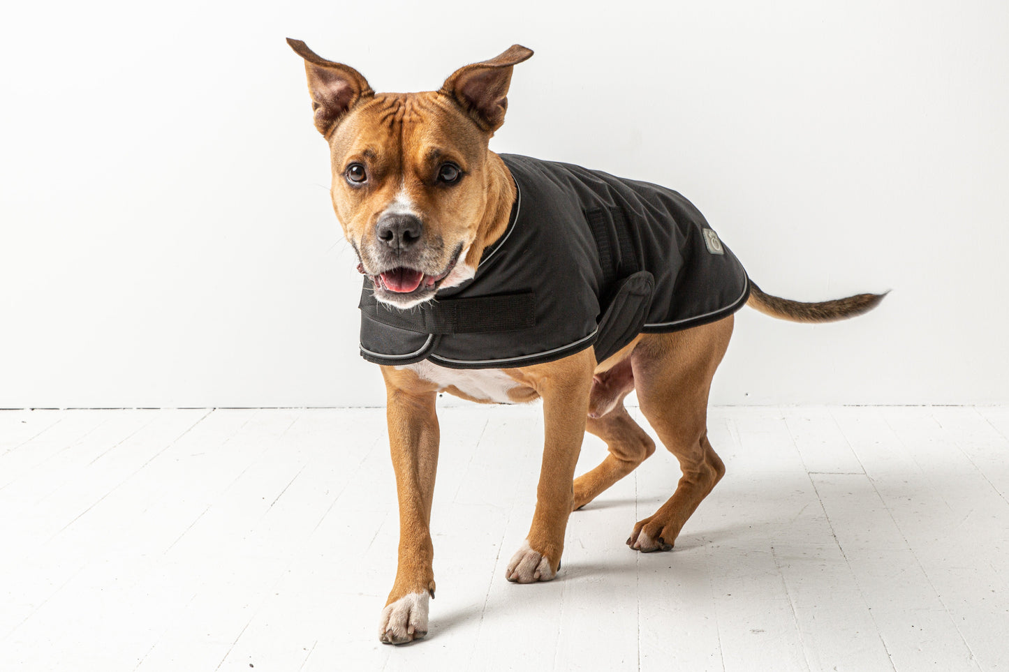 Dog Winter Blanket Jacket - Black Large (Customer Return)