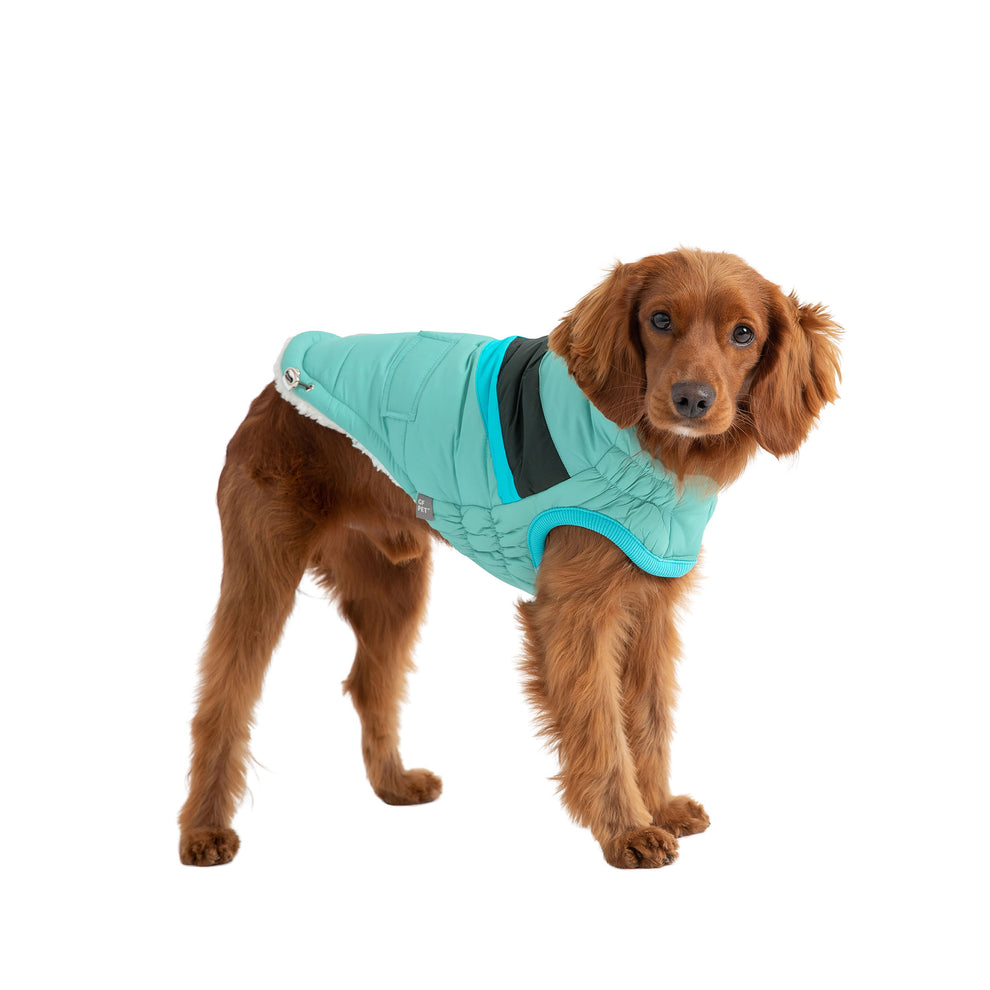 Puffer Dog Coats - Sherpa Lined Water Resistant Dog Coat – The Dog Outdoors