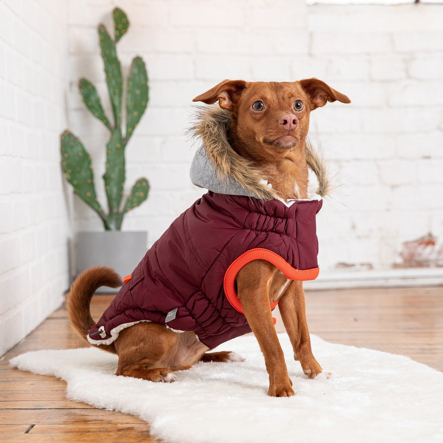 Winter Sailor Parka - Burgundy 2XS (Customer Return)