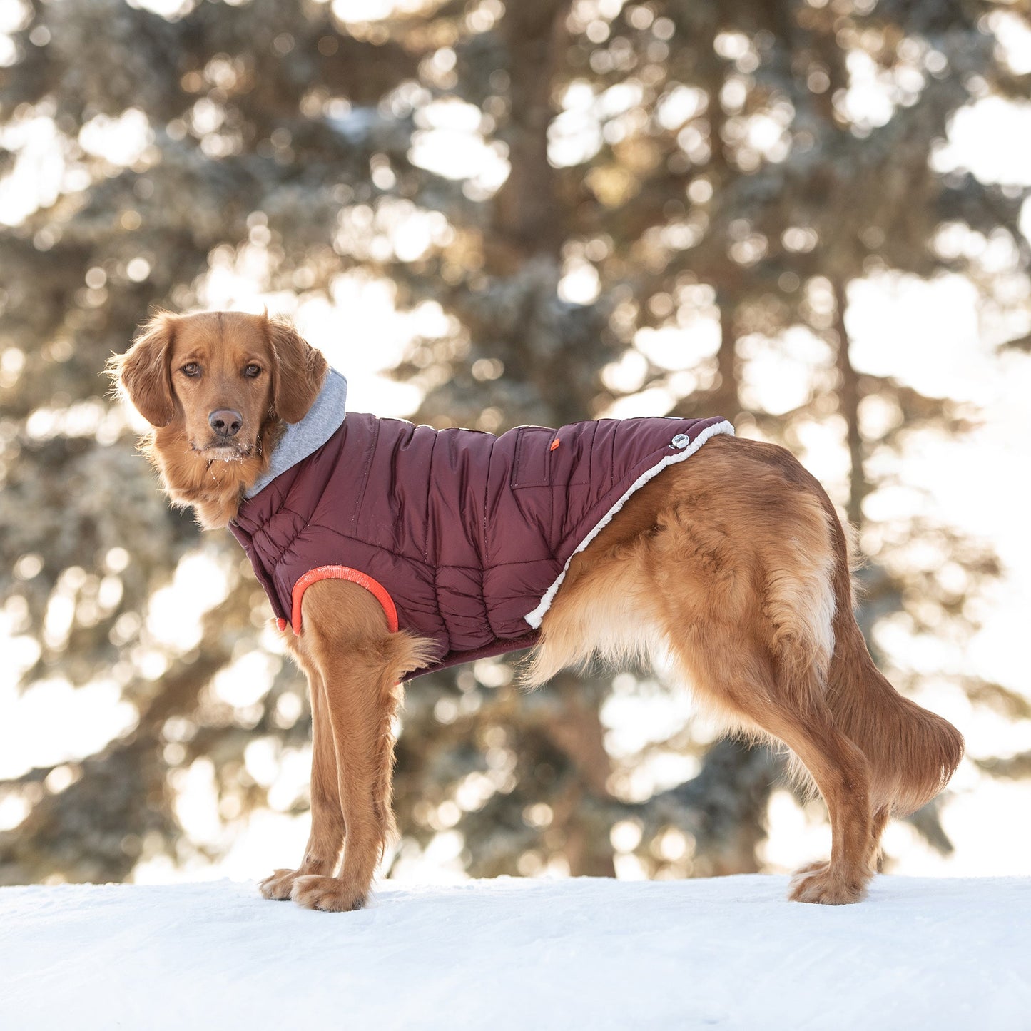 Winter Sailor Parka - Burgundy 2XS (Customer Return)