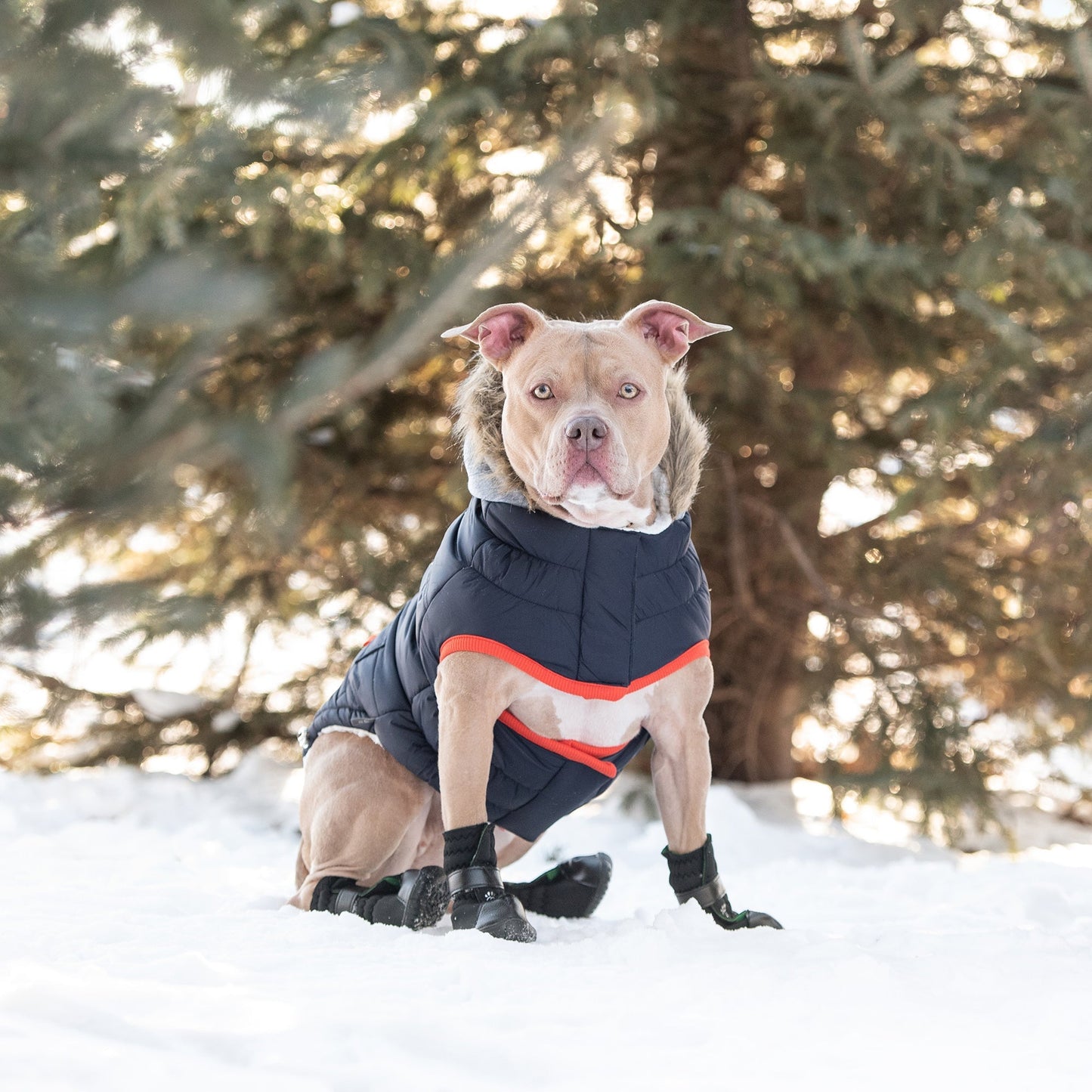 Winter Sailor Parka - Navy - Medium (Customer Return)