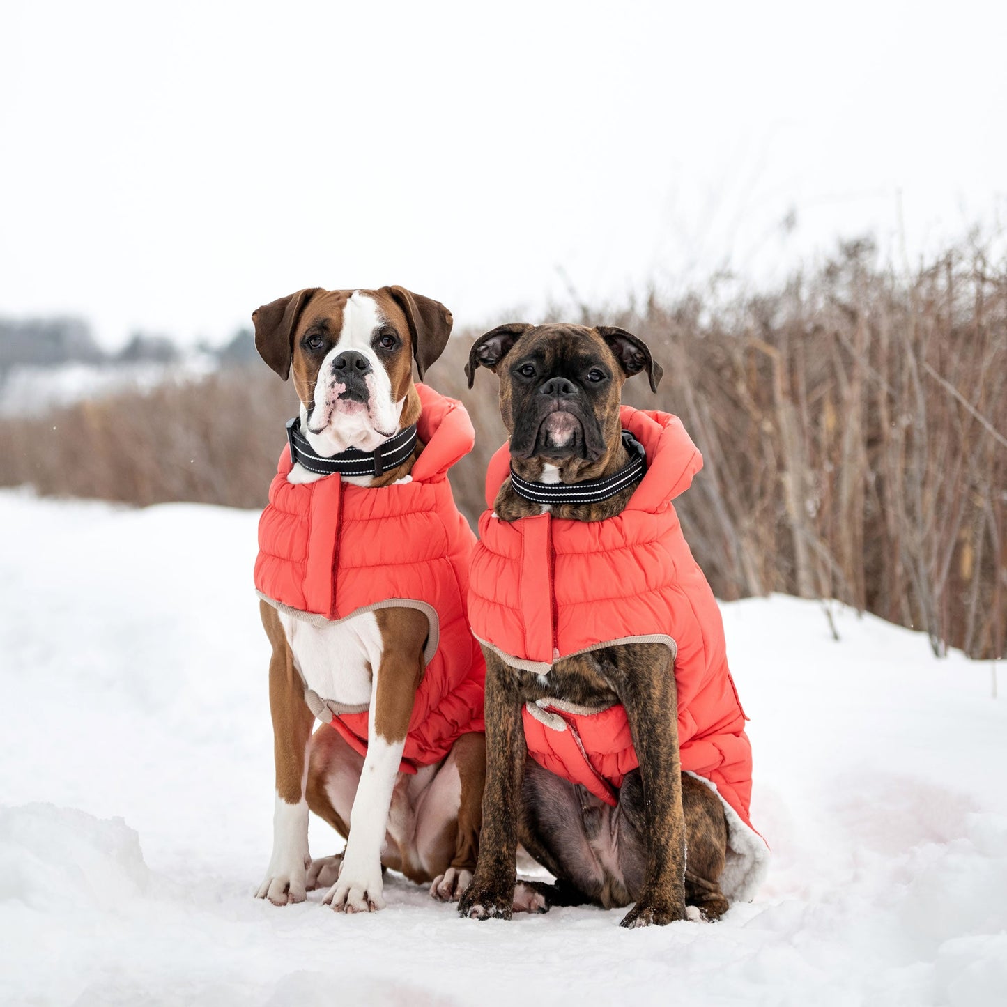 Nordic Parka Dog Winter Coat