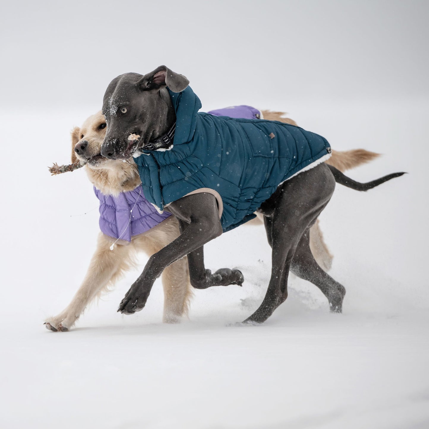 Nordic Parka Dog Winter Coat