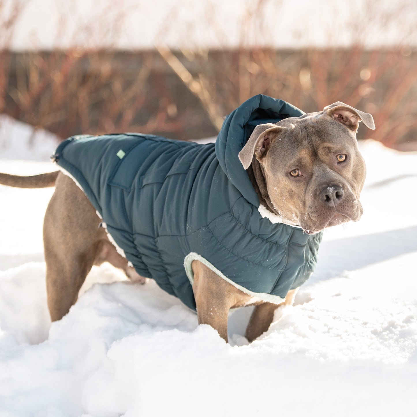 Arctic Parka - Teal 4XL (Customer Return)