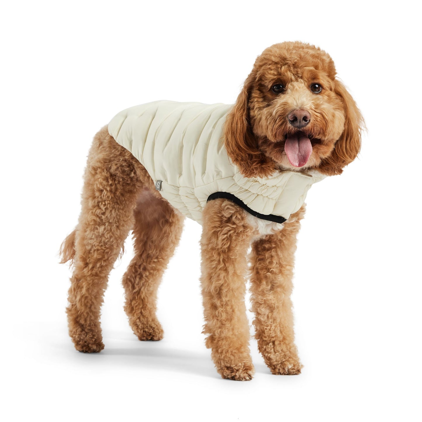 Cloud Parka Dog Winter Puffer Coats