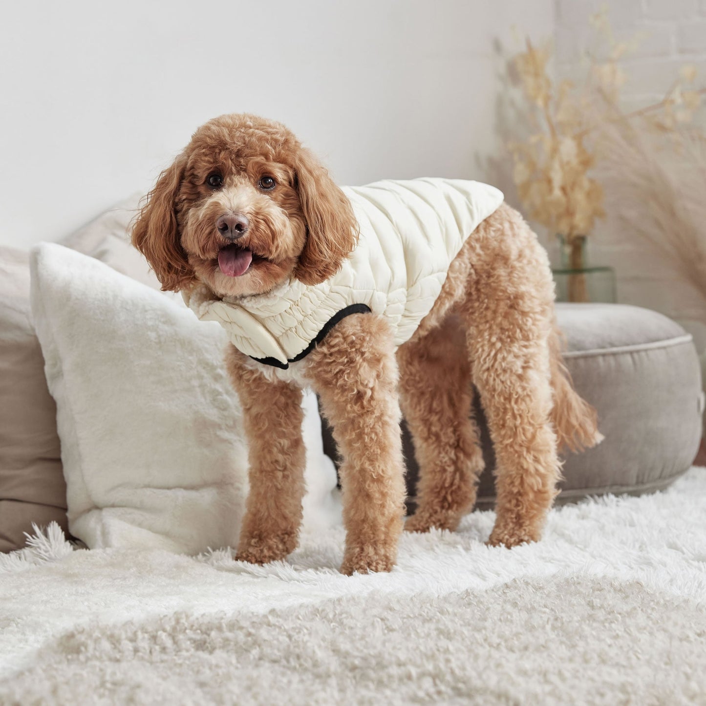 Cloud Parka Dog Winter Puffer Coats