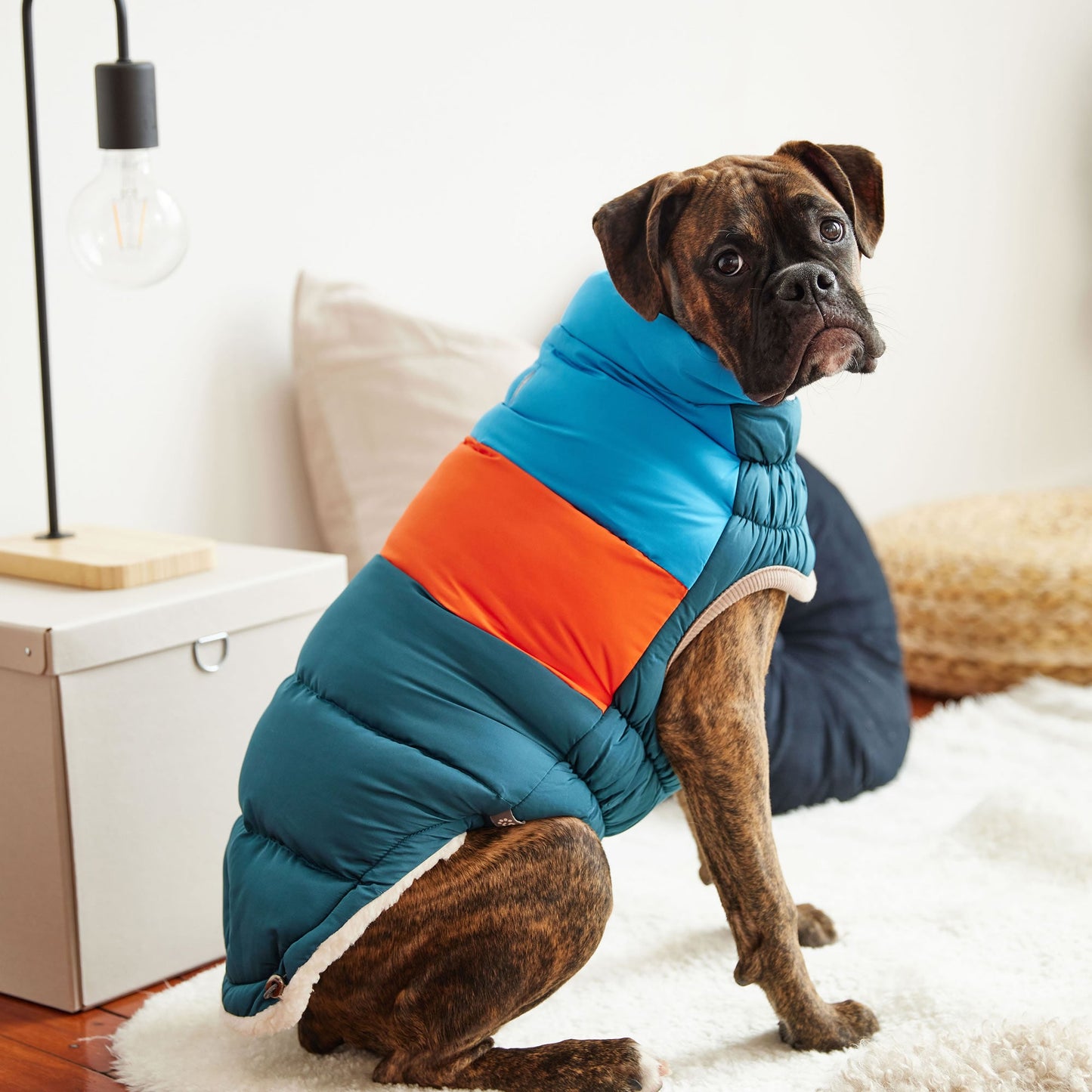 Color Block Dog Puffer Winter Coats