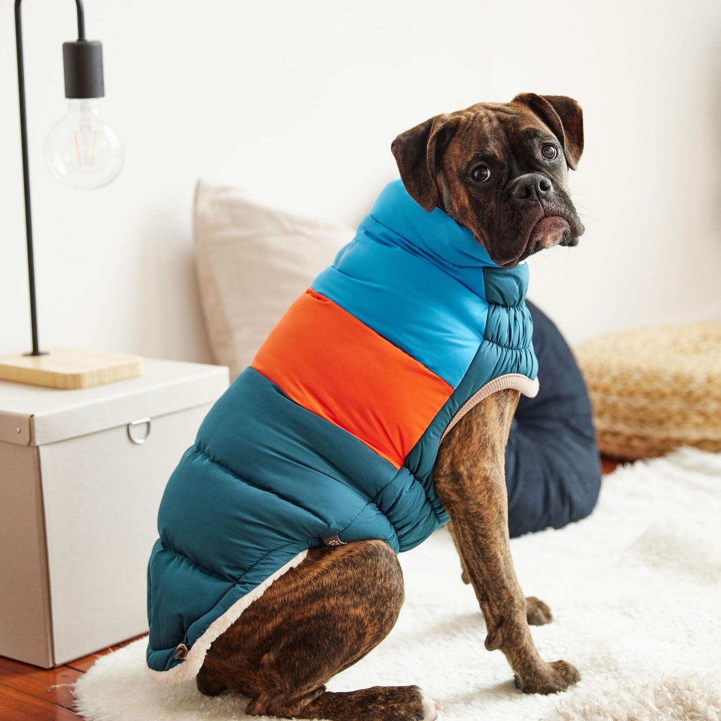 Color Block Dog Puffer Dark Teal Medium (Customer Return)