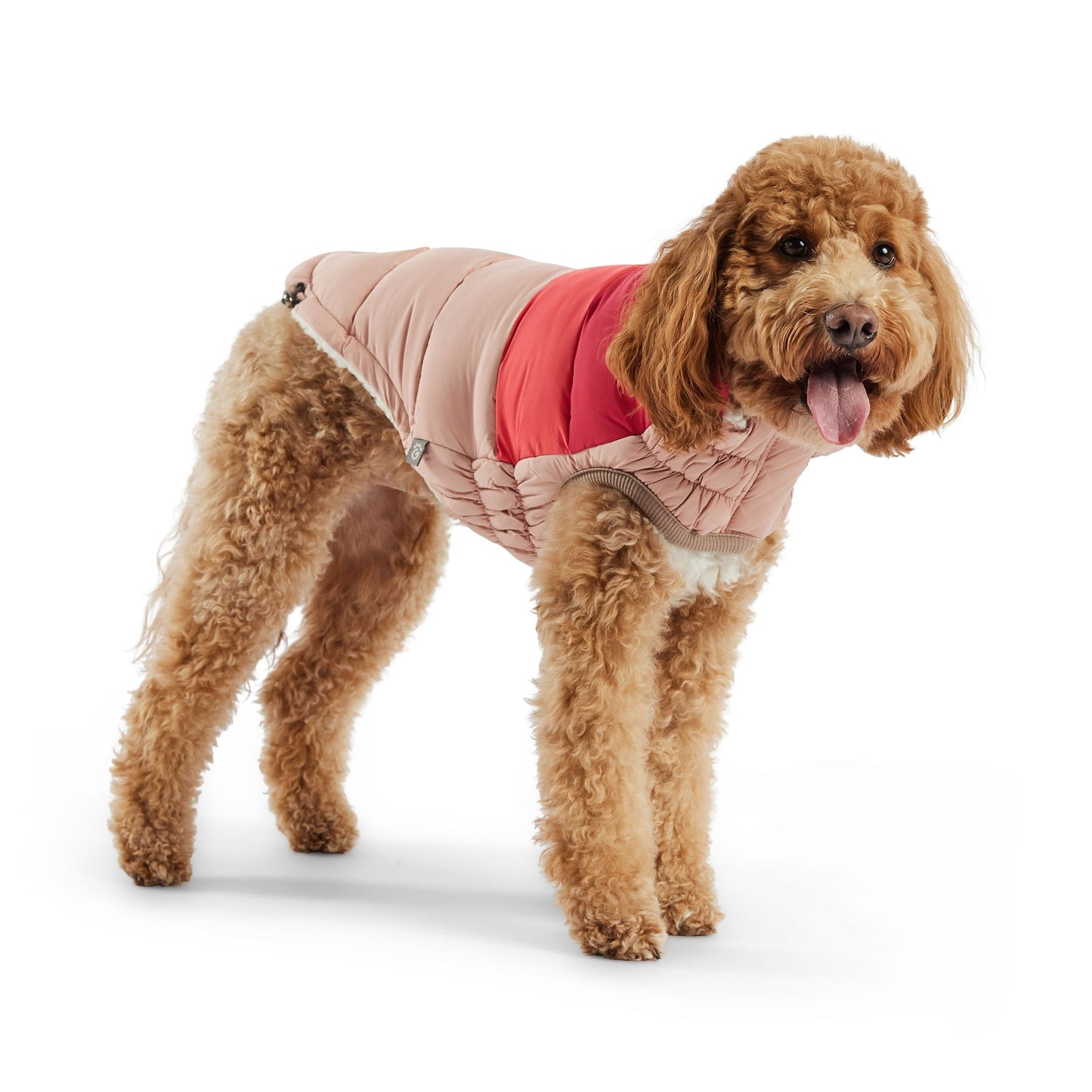 Color Block Dog Puffer Pink Medium (Customer Return)