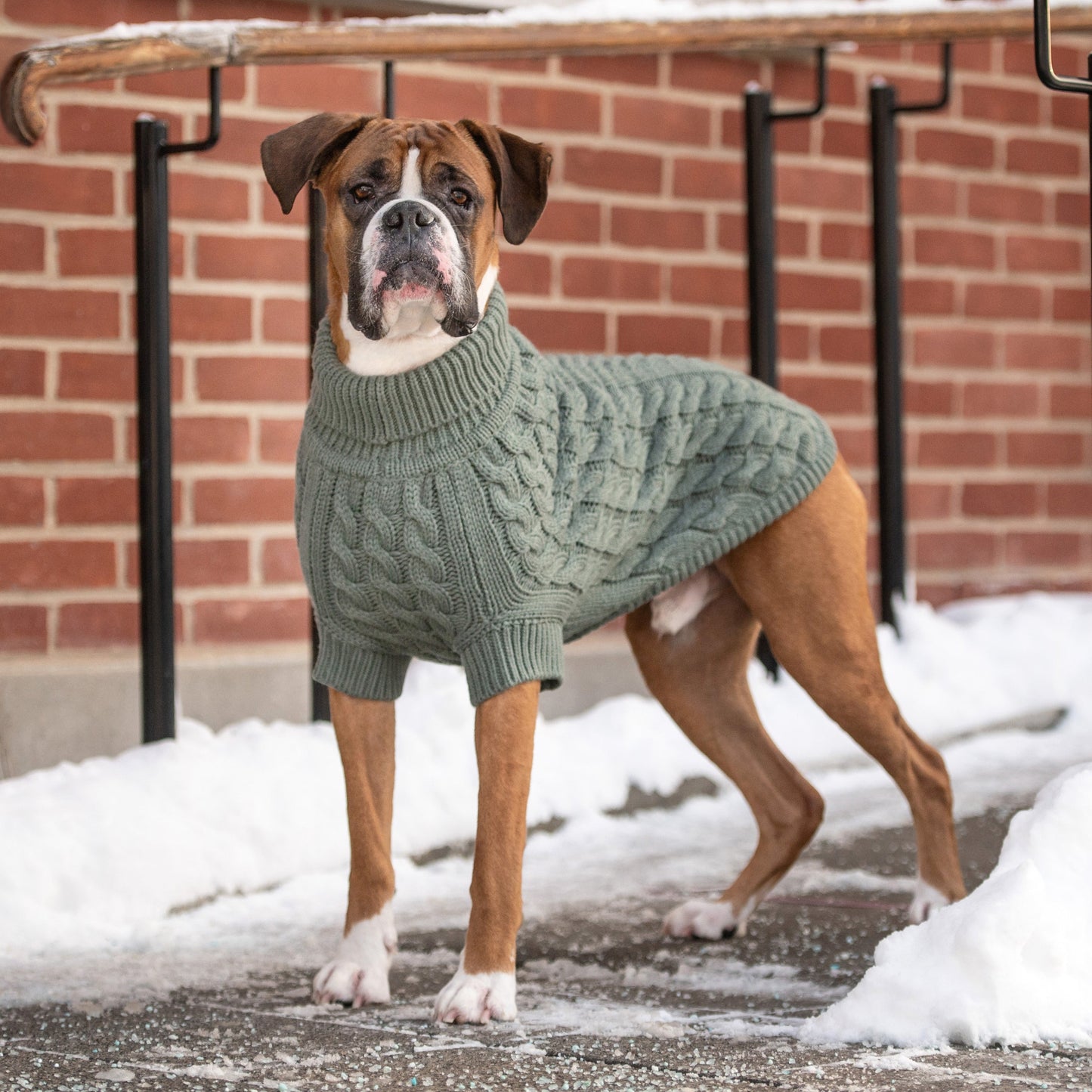 Chalet Sweater - Sage Small (Customer Return)