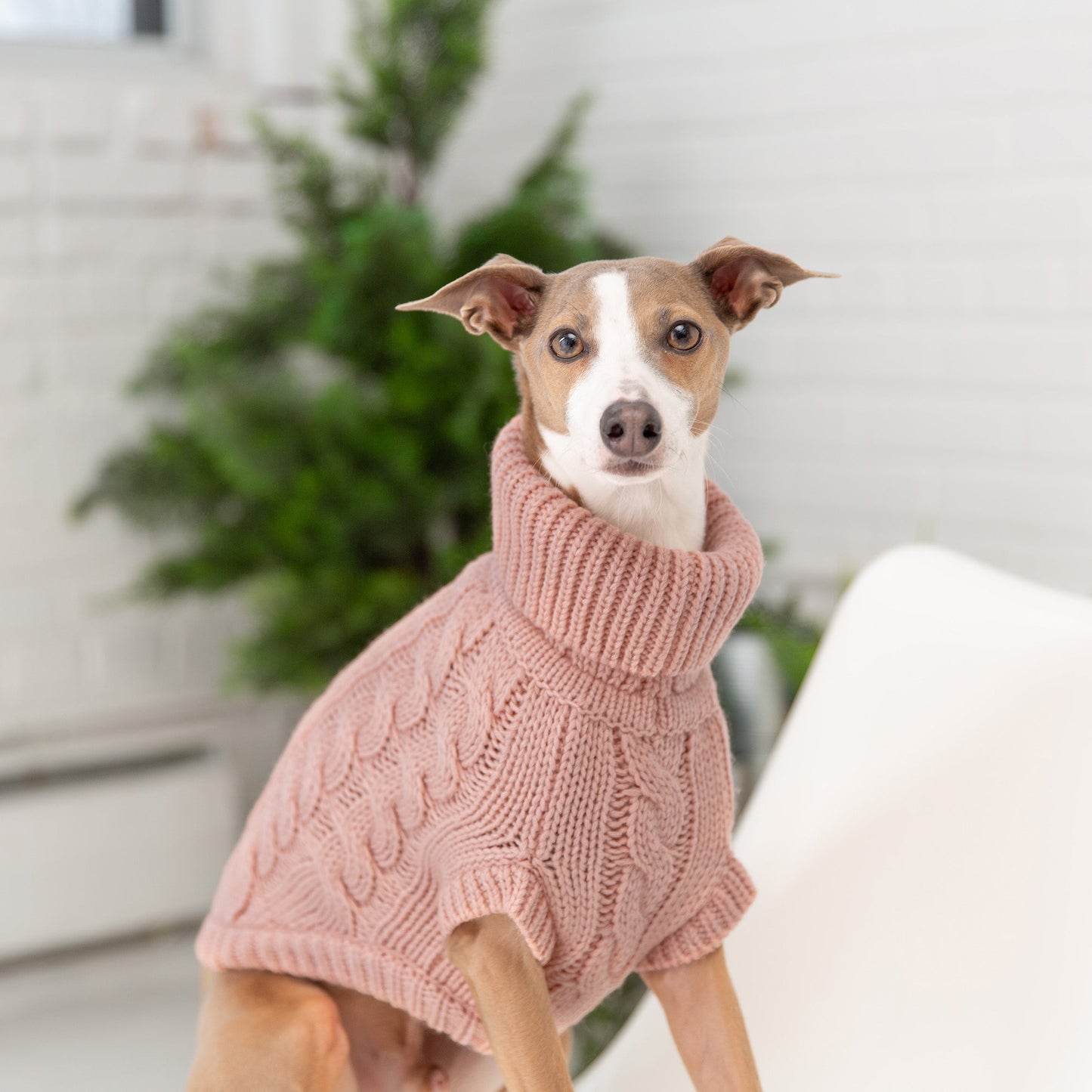 Chalet Sweater - Pink Small (Customer Return)