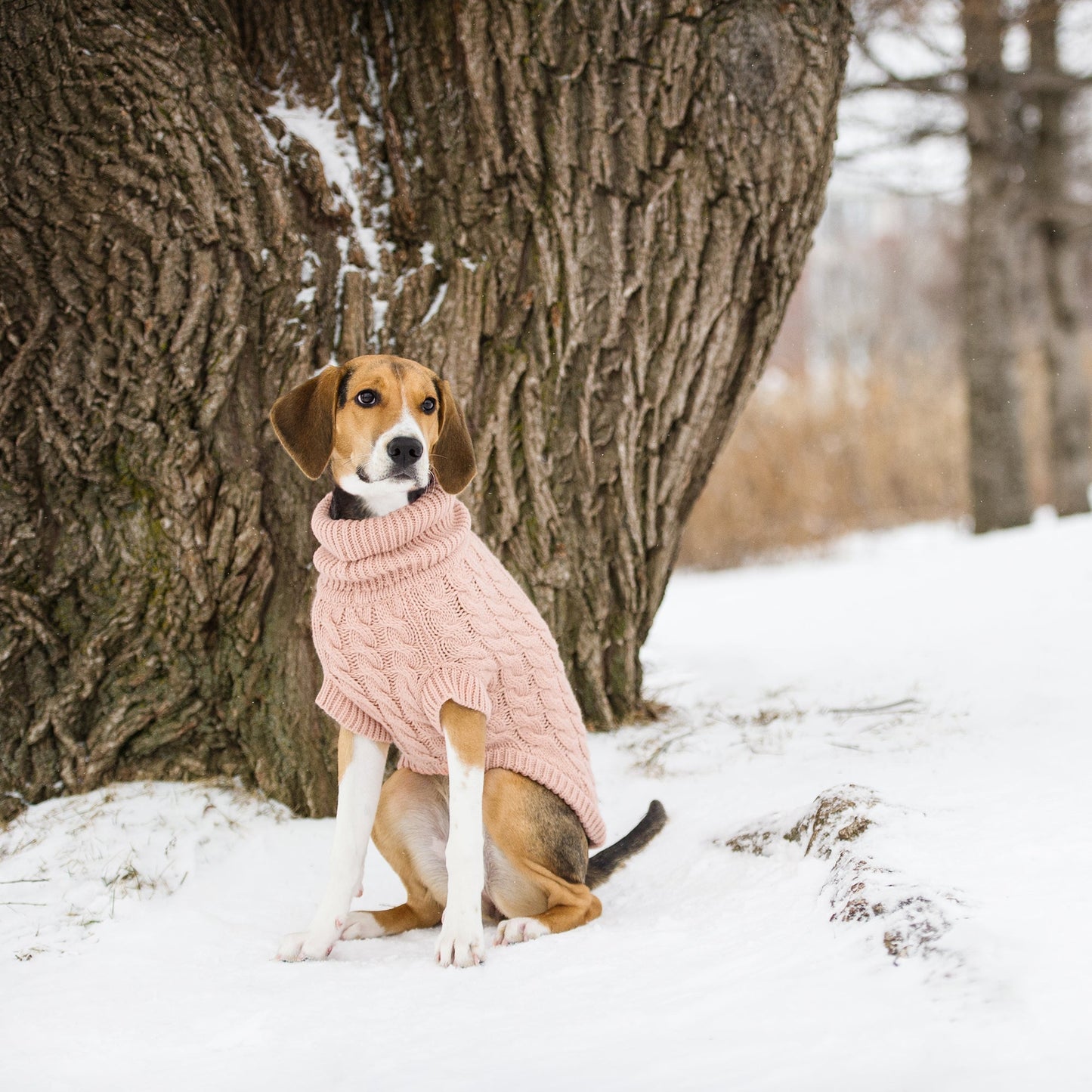 Chalet Sweater - Pink 2XL (Customer Return)