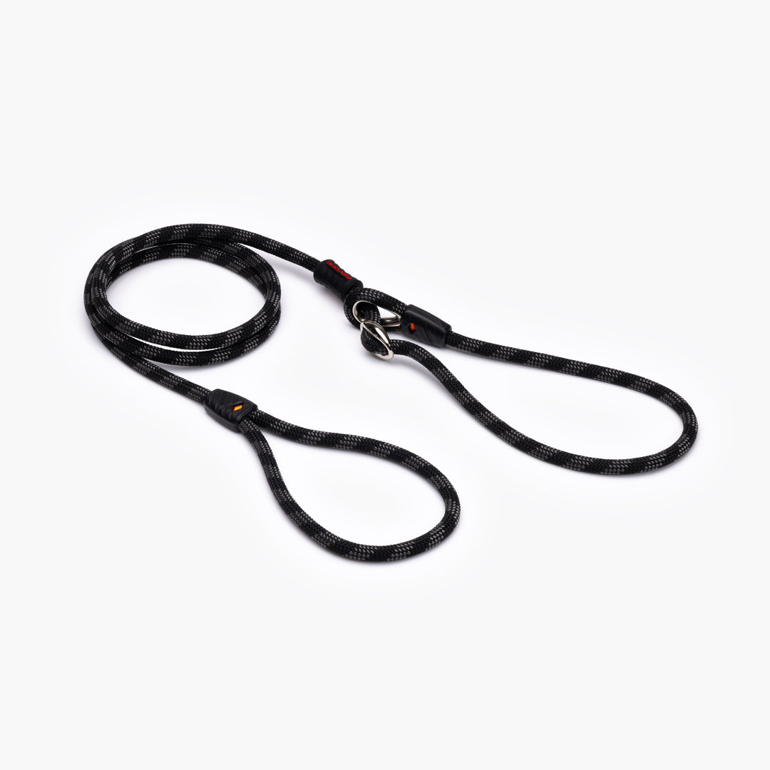 Luca Leash Collar & Leash Combo