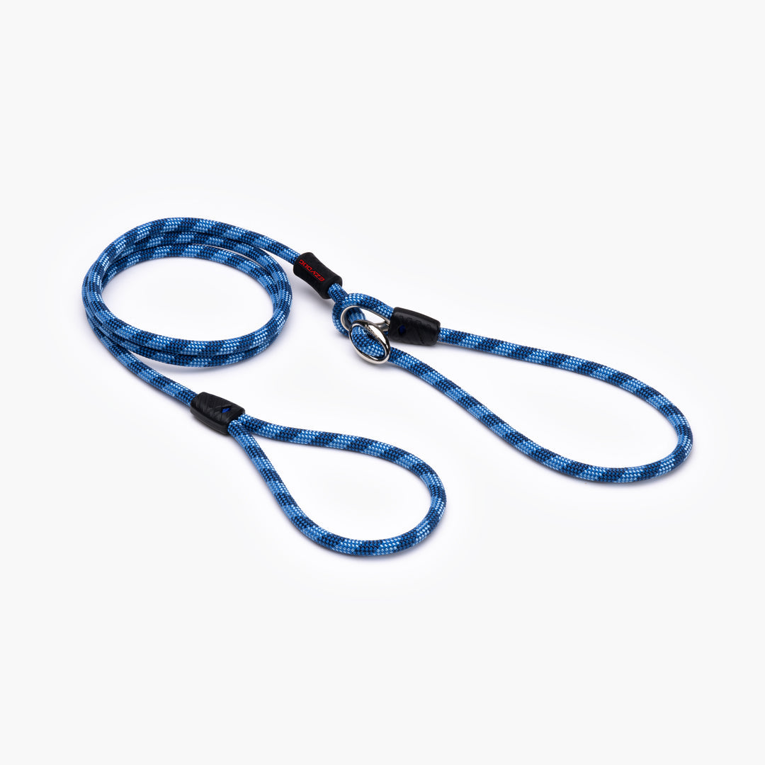 Luca Leash Collar & Leash Combo