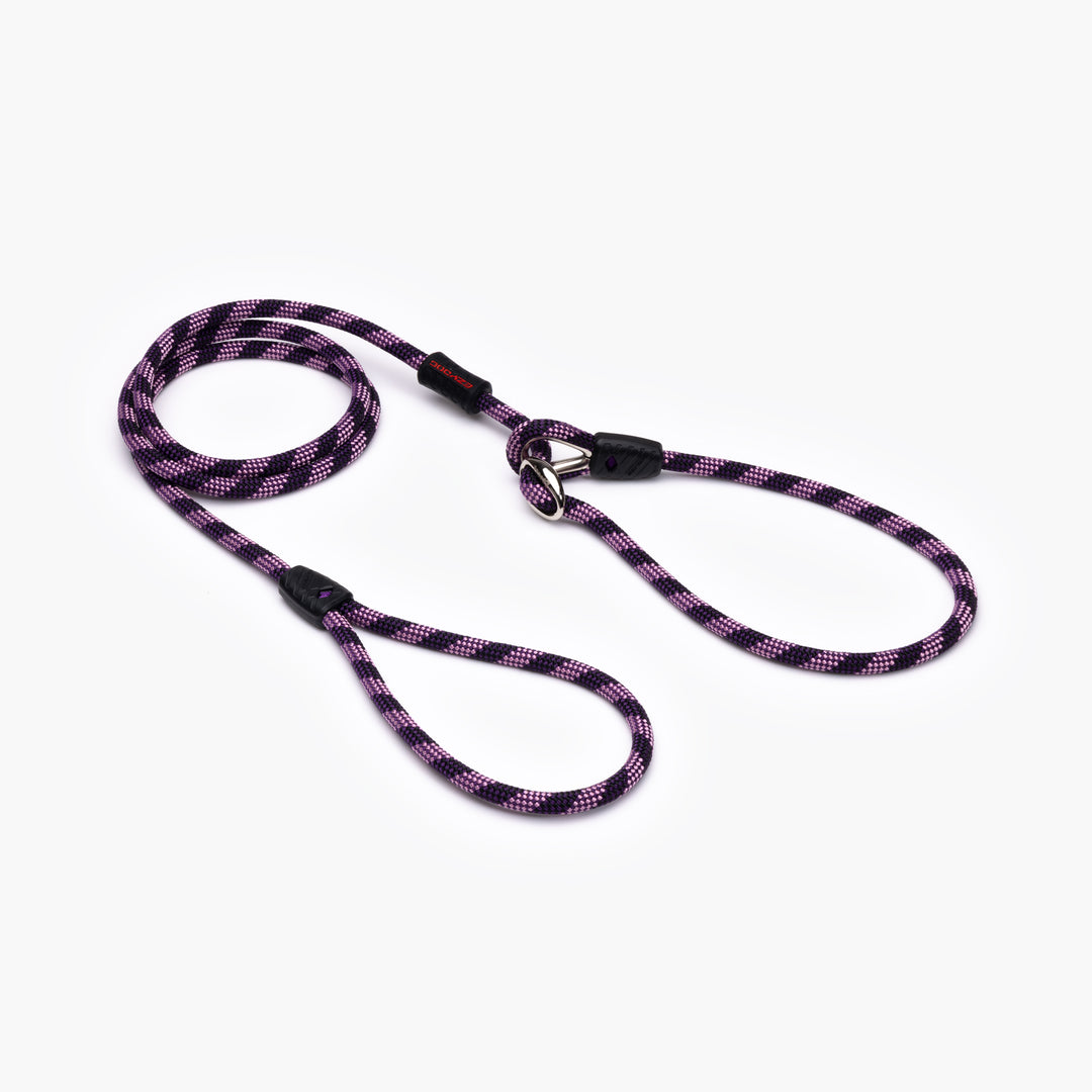 Luca Leash Collar & Leash Combo