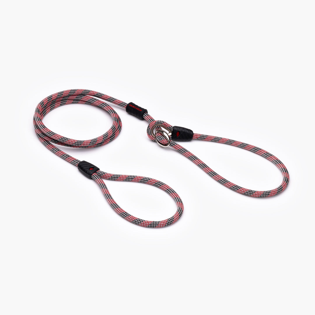 Luca Leash Collar & Leash Combo