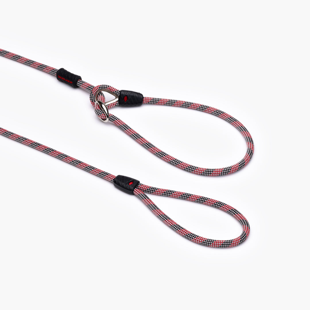 Luca Leash Collar & Leash Combo