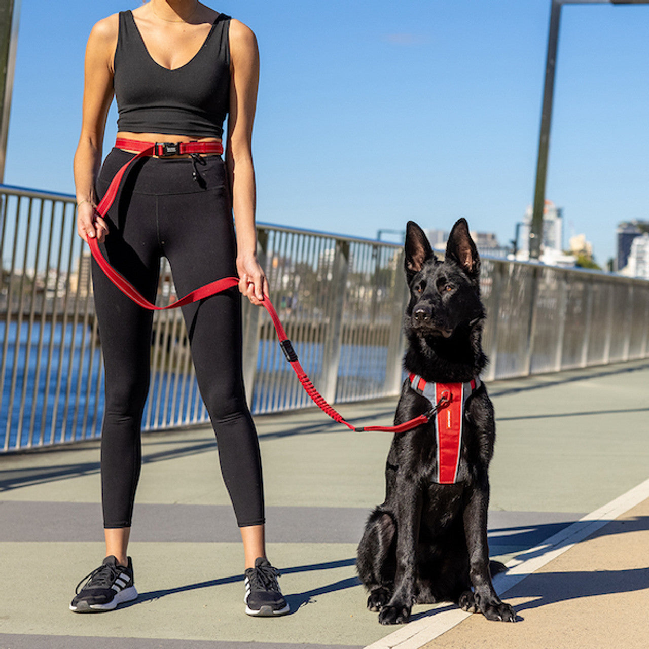 EzyDog Road Runner Hands Free Leash