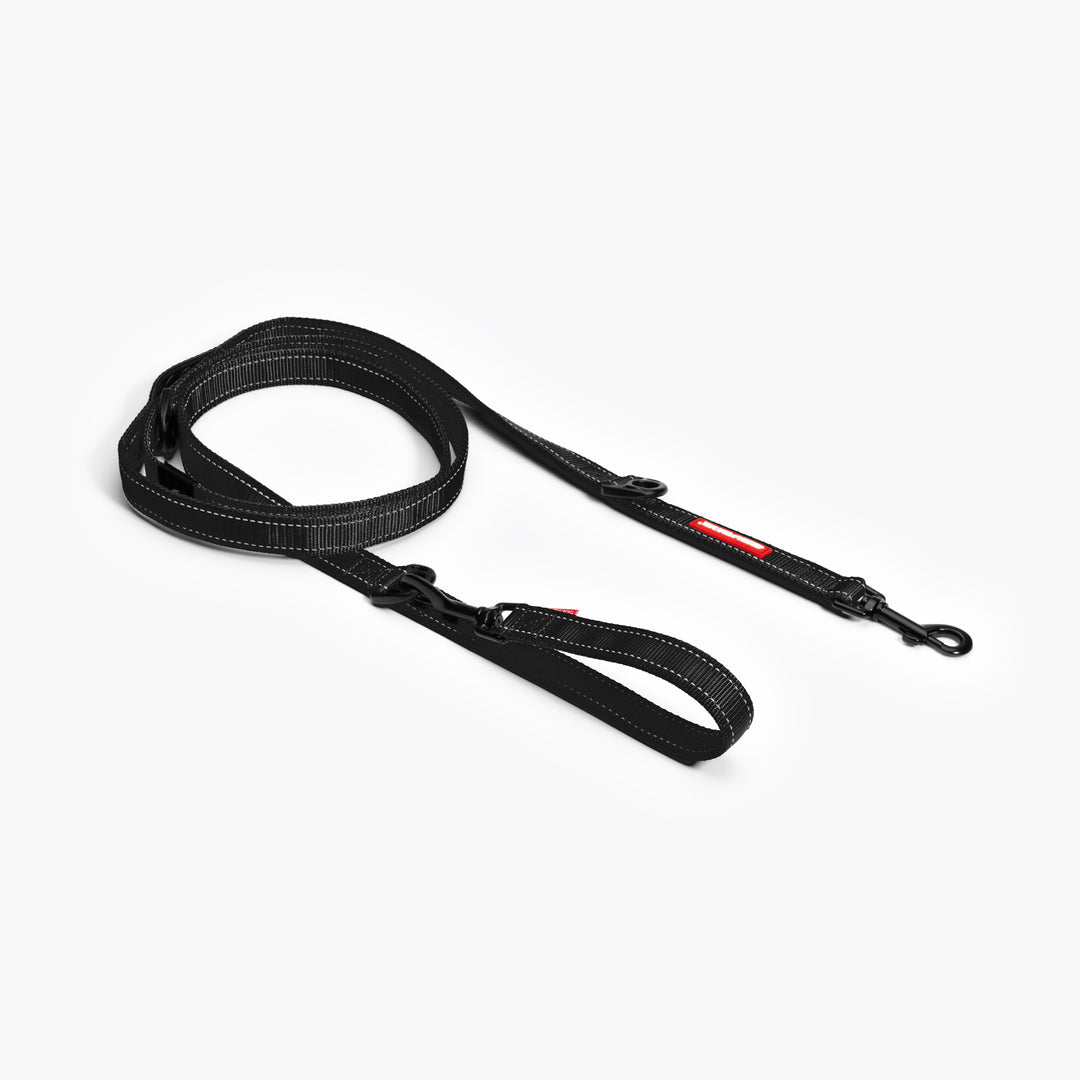 EzyDog Hands Free Dog Leash - 6 Functions In 1