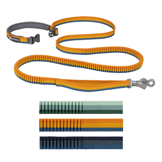 Roamer™ Bungee Dog Leash