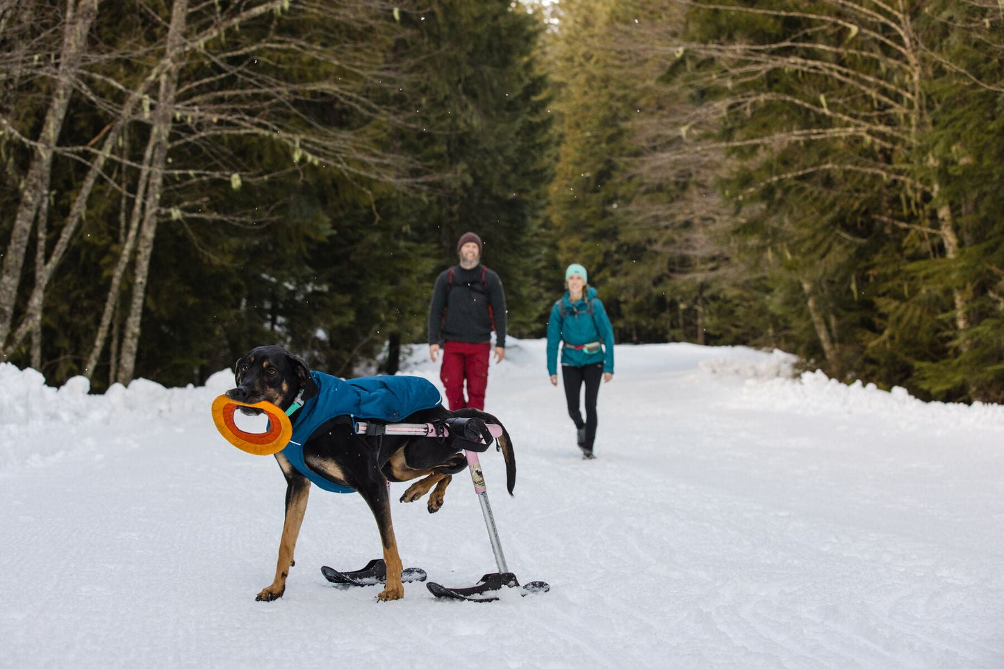 Ruffwear Quinzee Coat - Blue Moon XS (Customer Return)