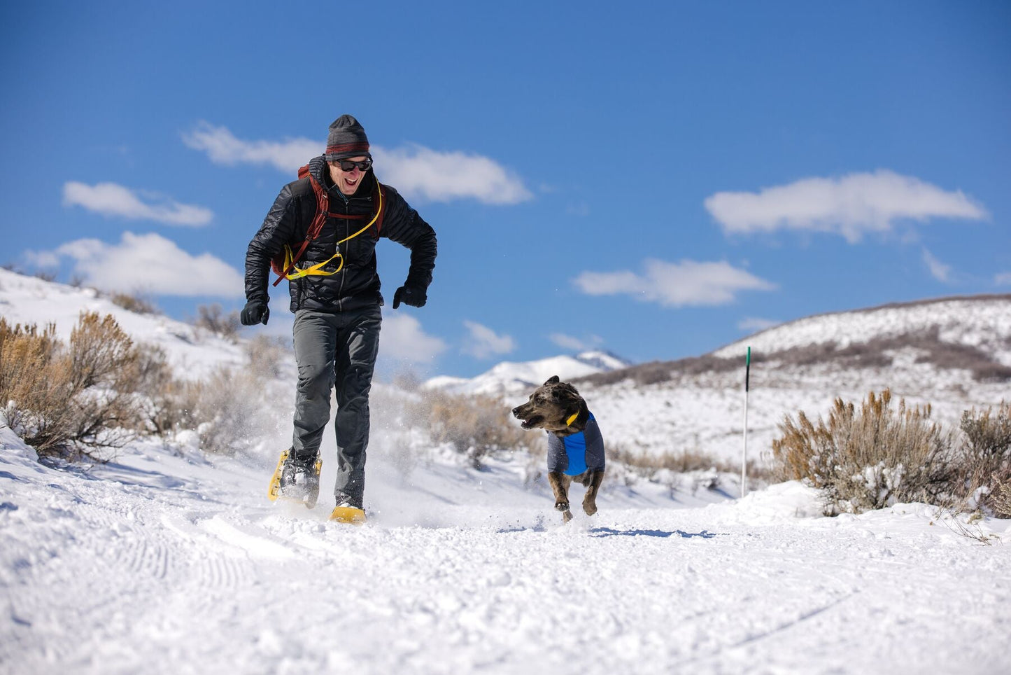 Ruffwear Powder Hound Blue Med (Customer Return)