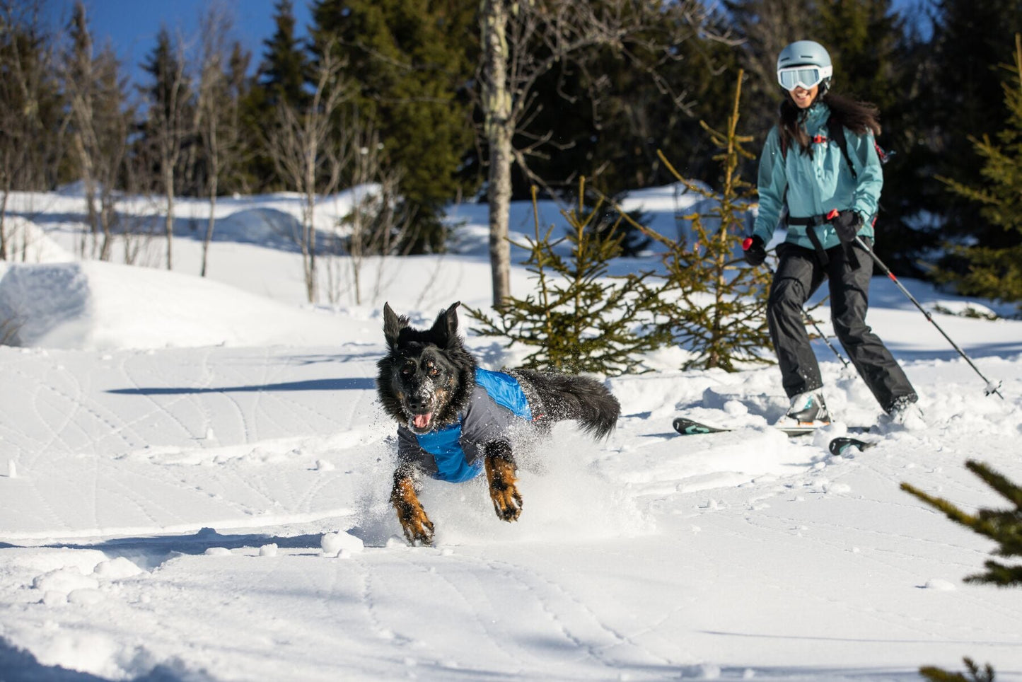 Ruffwear Powder Hound Blue Med (Customer Return)