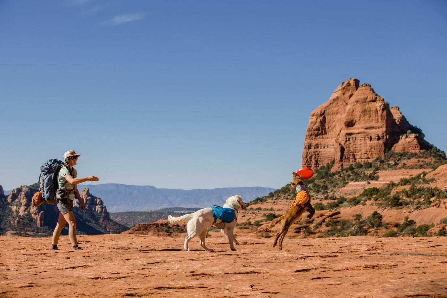 Ruffwear Approach Pack - Orange Med (Customer Return)