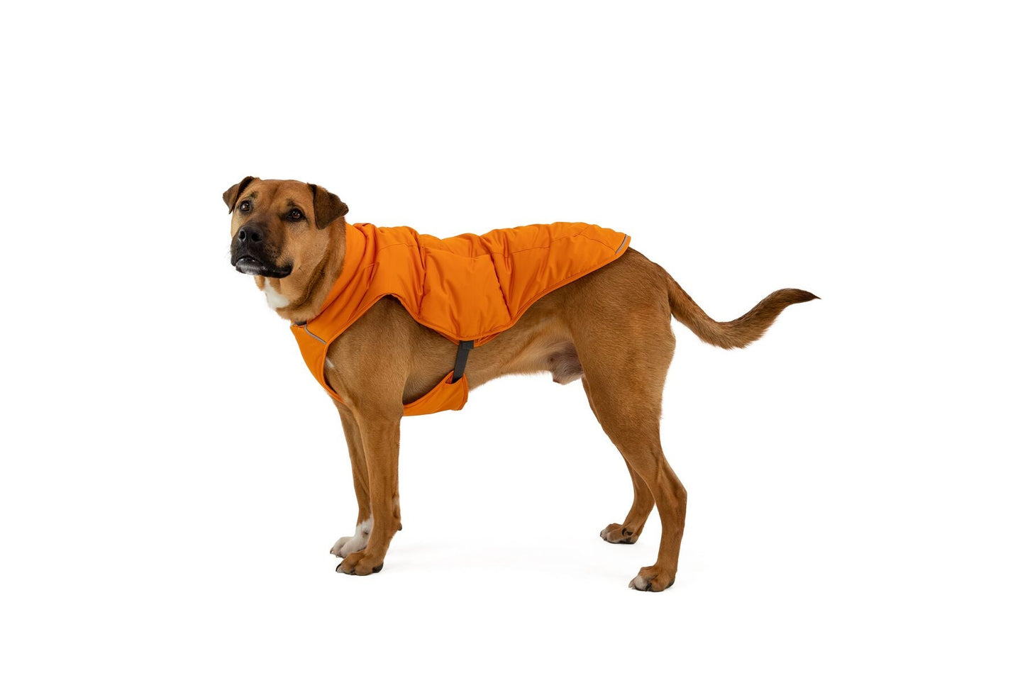 Ruffwear Quinzee Fired Brick Medium (Customer Return)