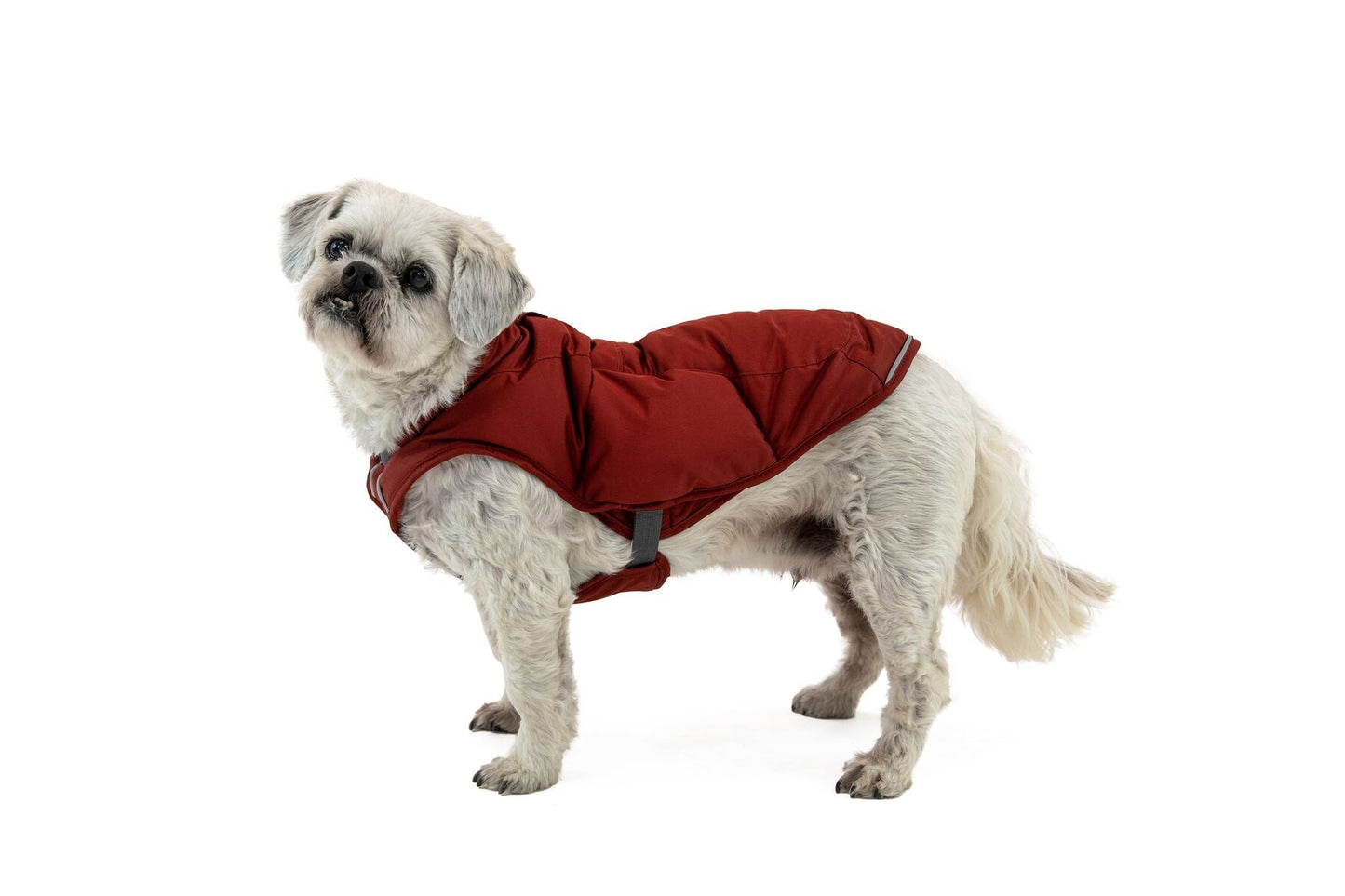 Ruffwear Quinzee Coat - Gray XXSmall (Customer Return)