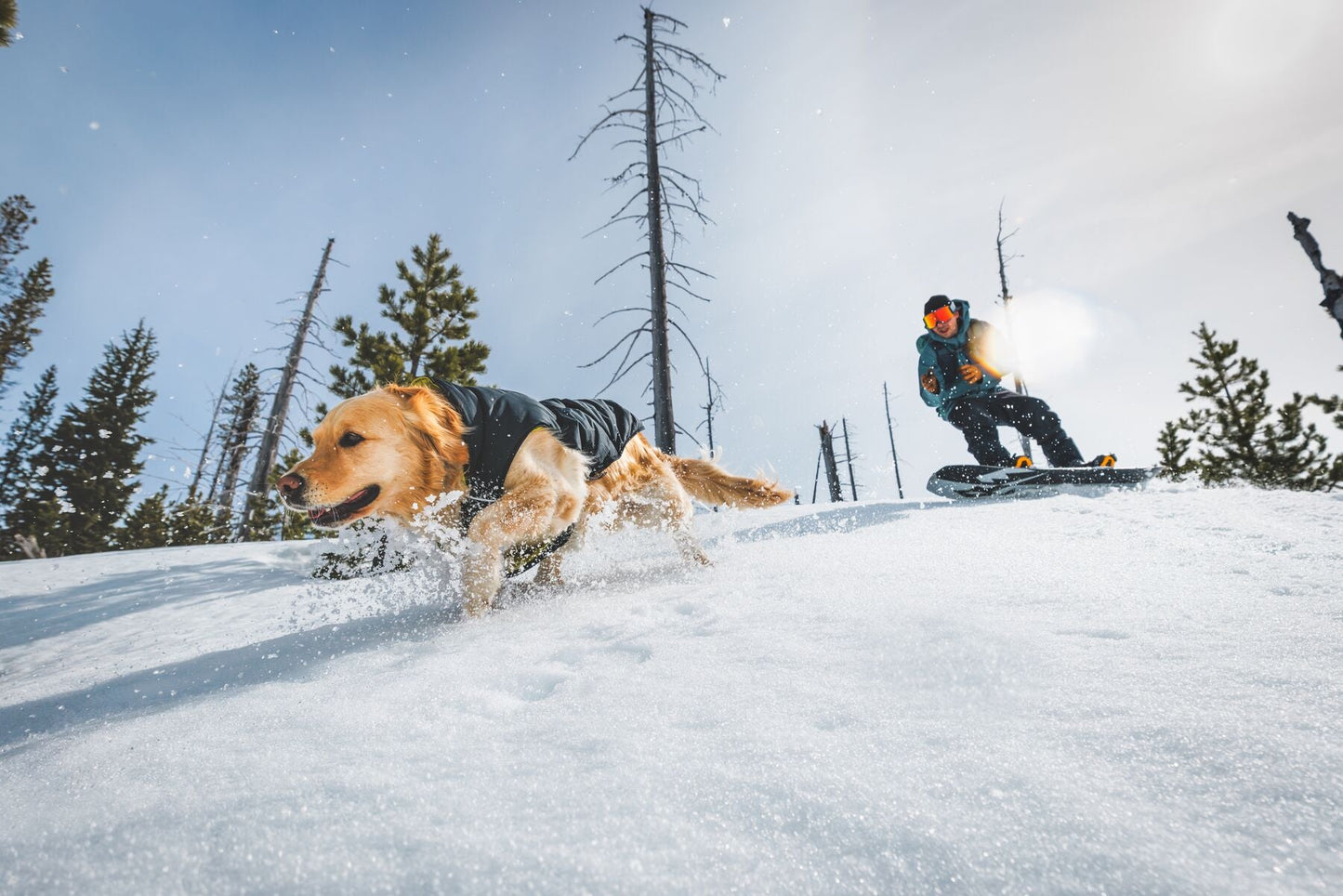 Ruffwear Quinzee Coat - Blue Moon XS (Customer Return)