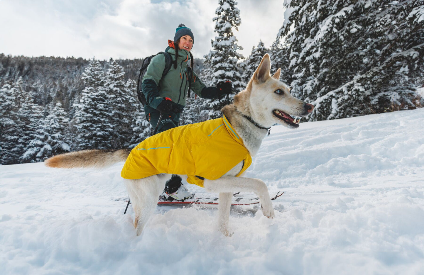 Ruffwear Vert Waterproof Dog Coat