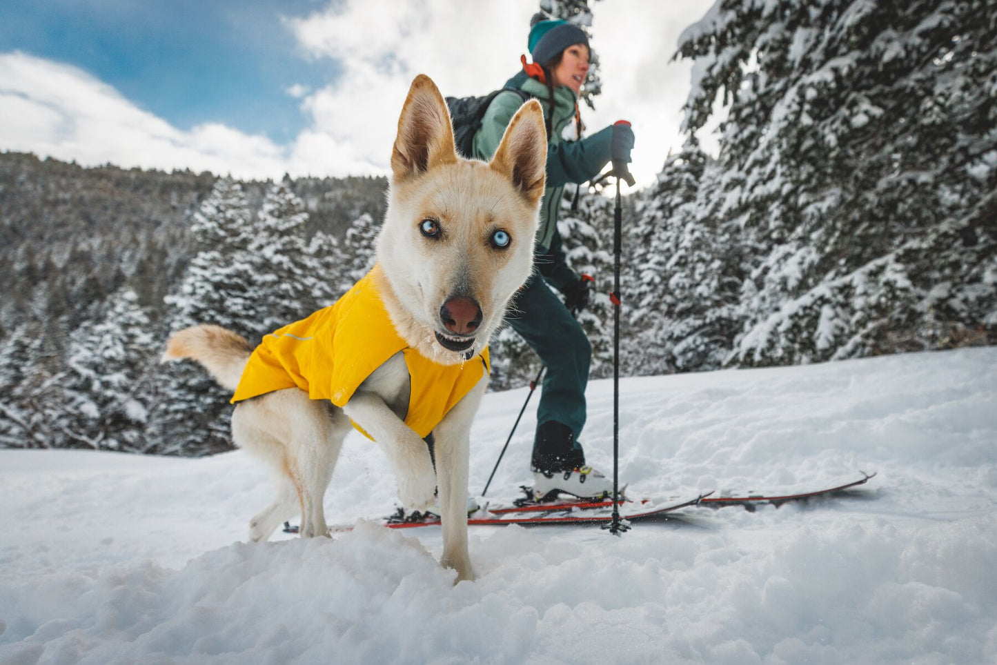 Ruffwear Vert Waterproof Dog Coat