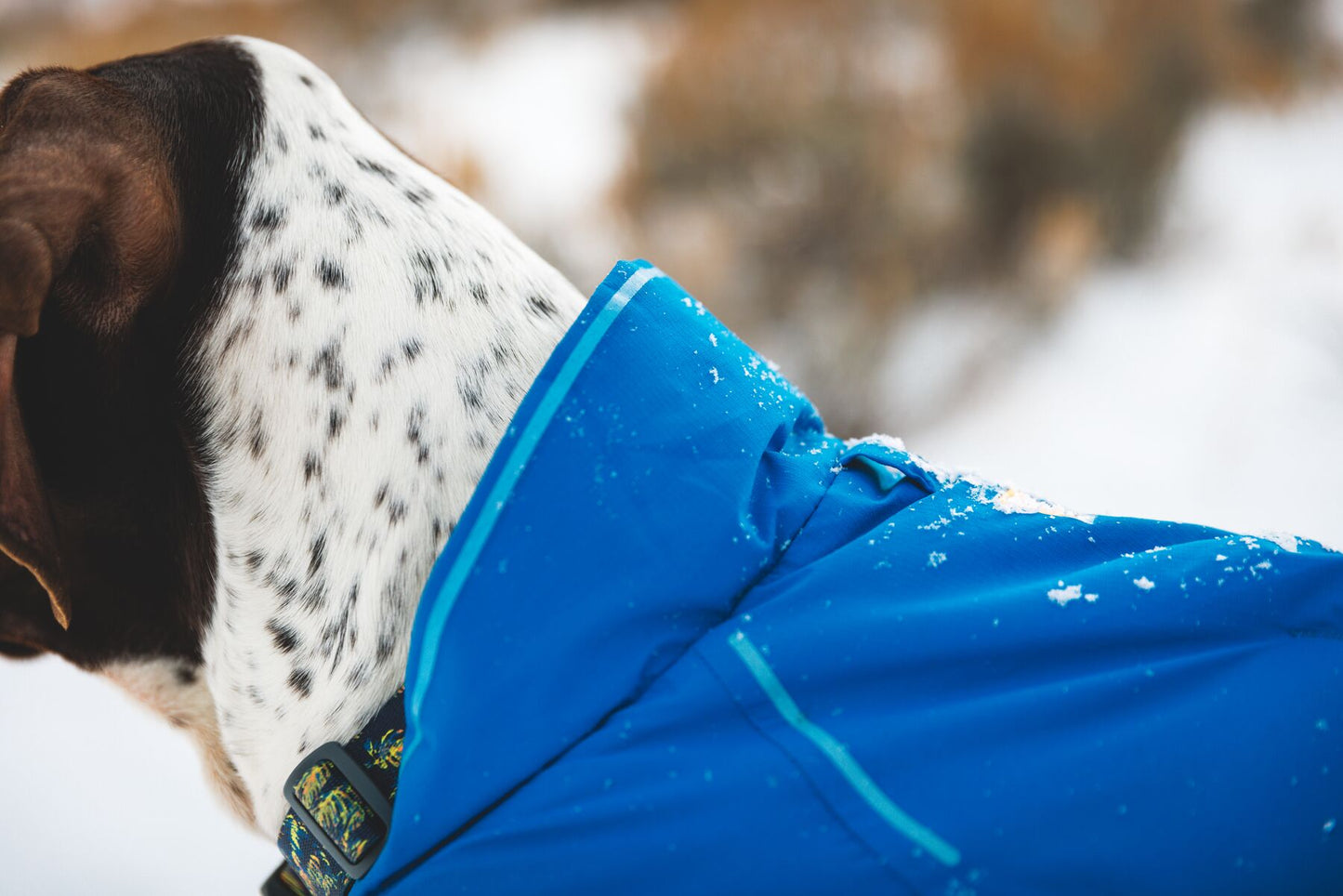 Ruffwear Vert Waterproof Dog Coat